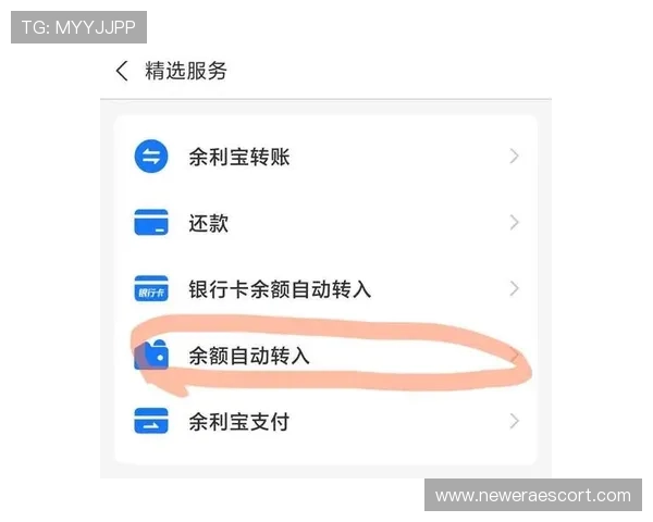 宝发国际在线娱乐城：便捷的充值提现流程让您轻松享受游戏乐趣