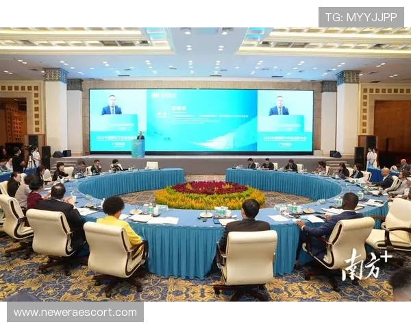 新罗娱乐：在全球市场中的战略布局，推动中国娱乐品牌走向国际舞台