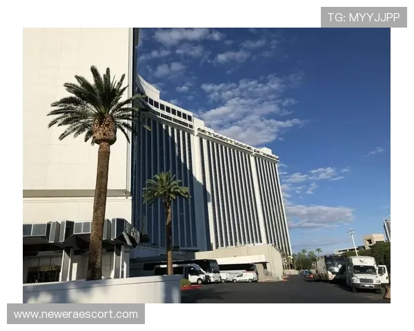 ob视讯首页优质的客户服务和便捷的操作流程，助你轻松开启娱乐之旅